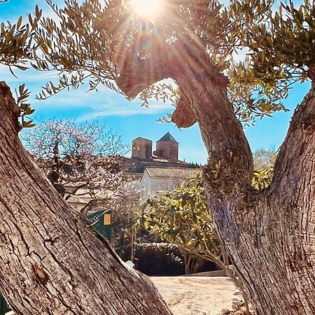 Melisande Au Pays Des Orjouliers Saint-Jean-de-Fos Bagian luar foto