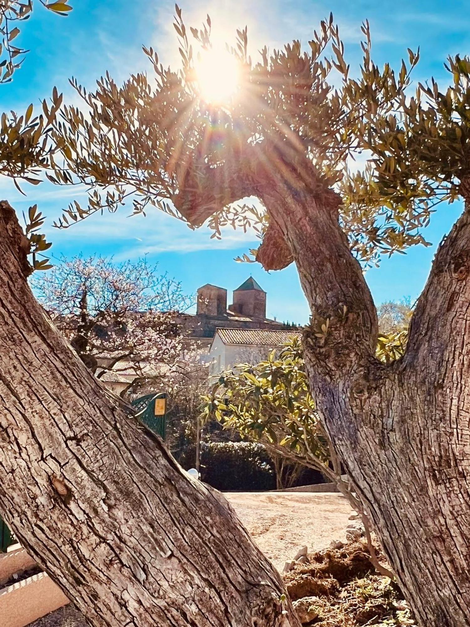 Melisande Au Pays Des Orjouliers Saint-Jean-de-Fos Bagian luar foto