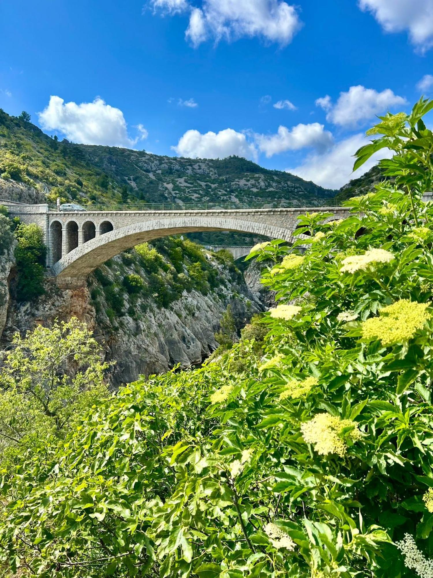 Melisande Au Pays Des Orjouliers Saint-Jean-de-Fos Bagian luar foto